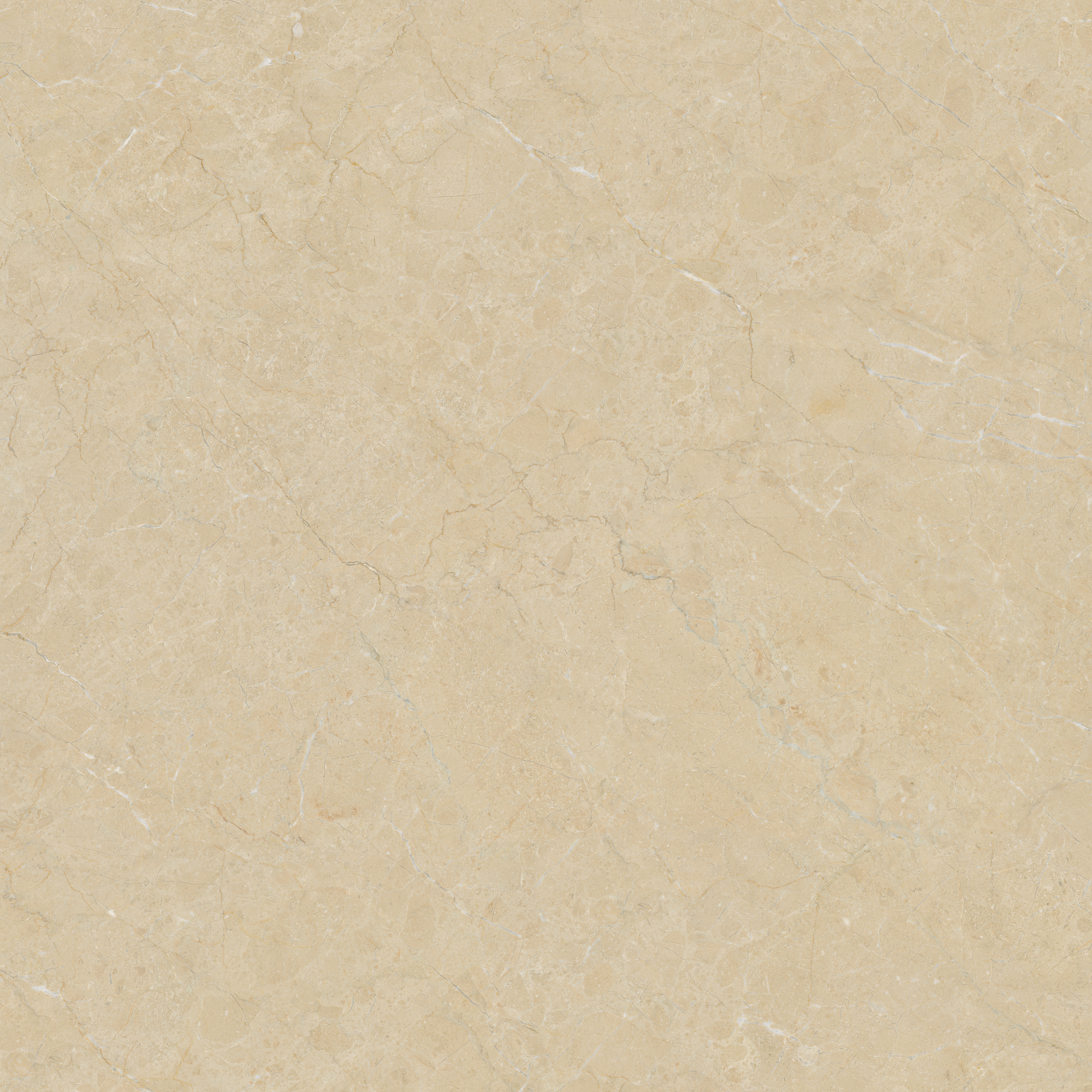 Gạch ốp lát Libon Formal Marfil, Glossy, 120x120 hiện đại
